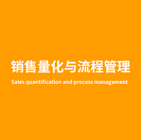 销售量化与流程管理